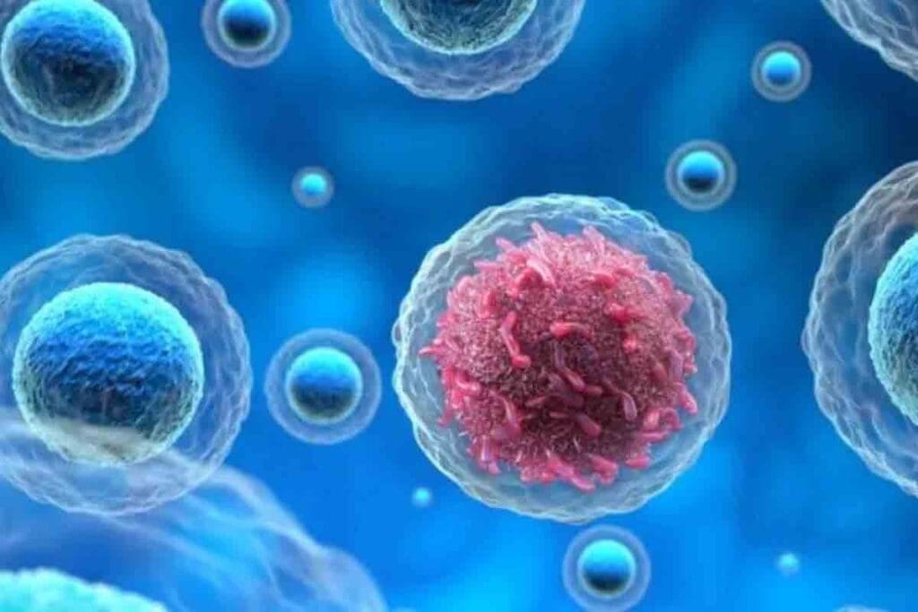 Types of Cancer: A Complete List of Names and Main Categories