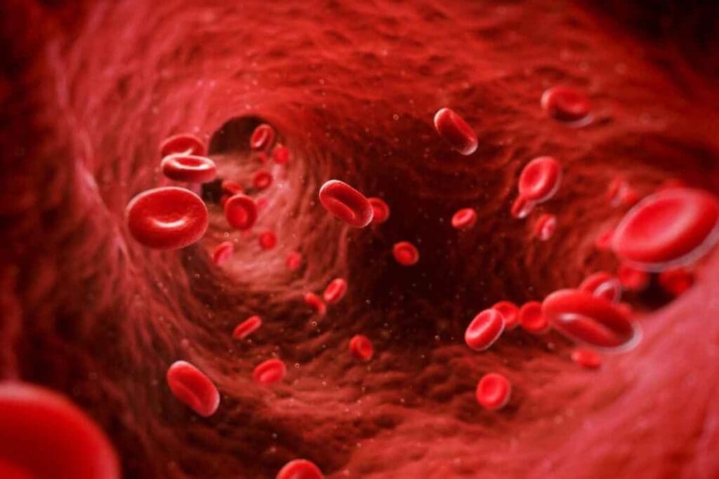 Where Are Blood Cells Produced and How Are They Formed in the Body? 1 Where Are Blood Cells Produced and How Are They Formed in the Body?