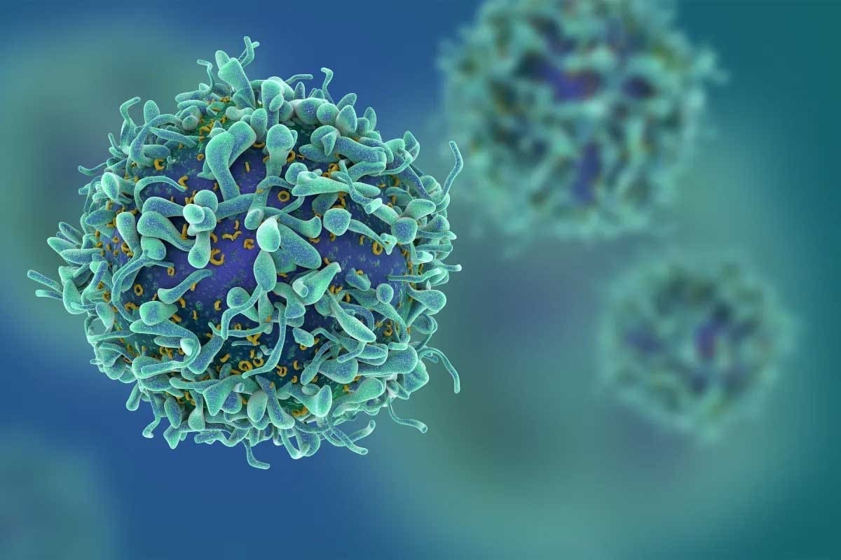 image 4690 LIV Hospital