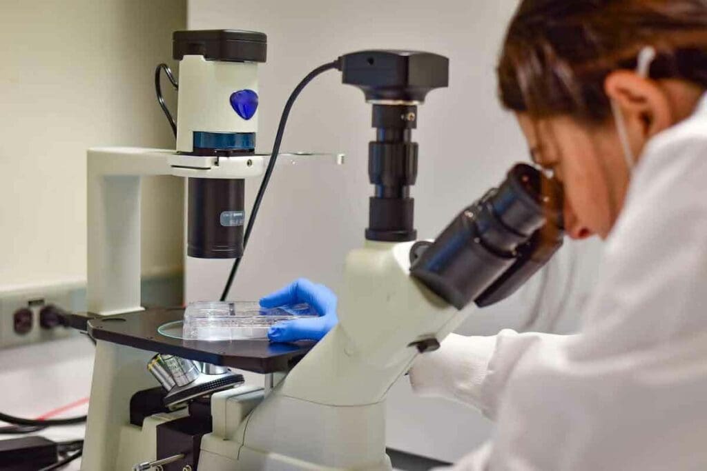 Bone Marrow Transplant Survival Rate by Age: 10 Key Facts You Should Know