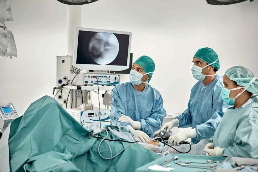 Bone Marrow Transplant Survival Rate: Success Rates, Mortality, and Long-Term Prognosis Explained