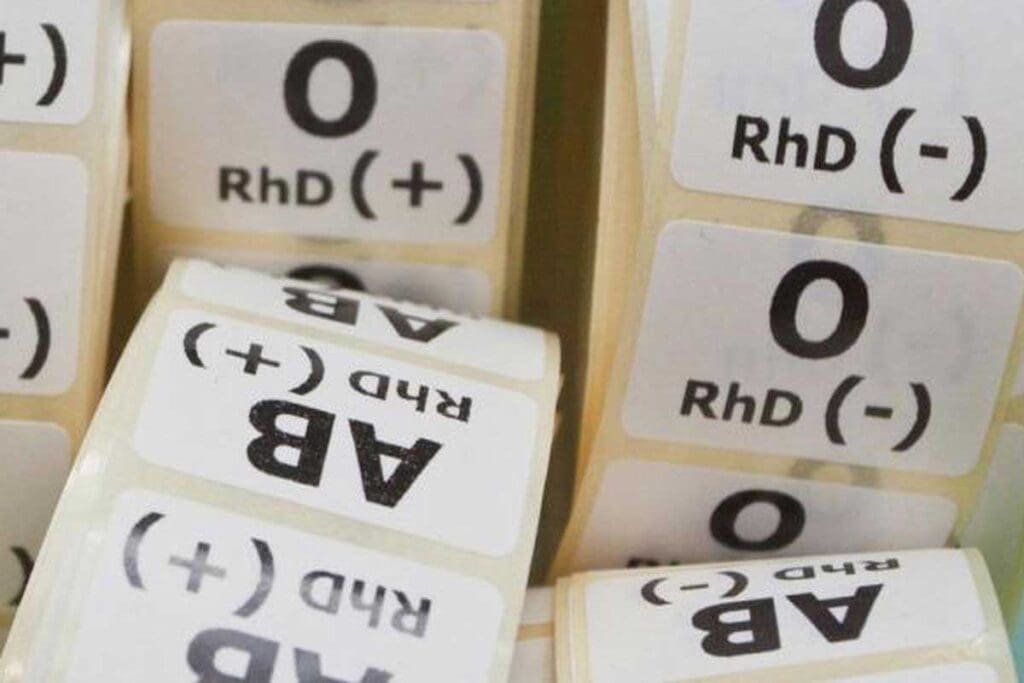 Blood Type A and O Compatibility Explained: 10 Essential Facts and Transfusion Guide type a and type o blood compatibility