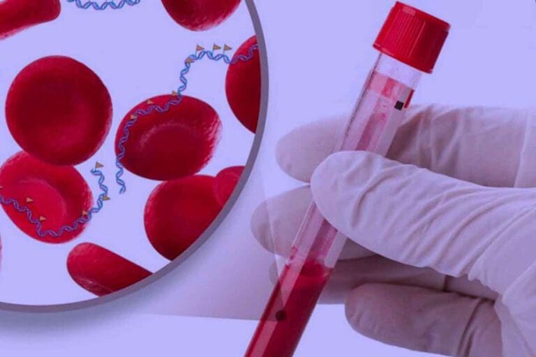 What Are the 3 Types of Blood Cancer: Key Facts, Prognosis & Survival Rates