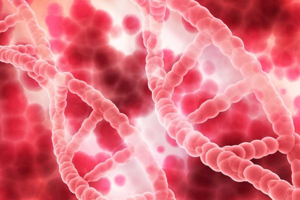 Is Blood Cancer Treatable? 11 Essential Facts About Diagnosis & Treatment