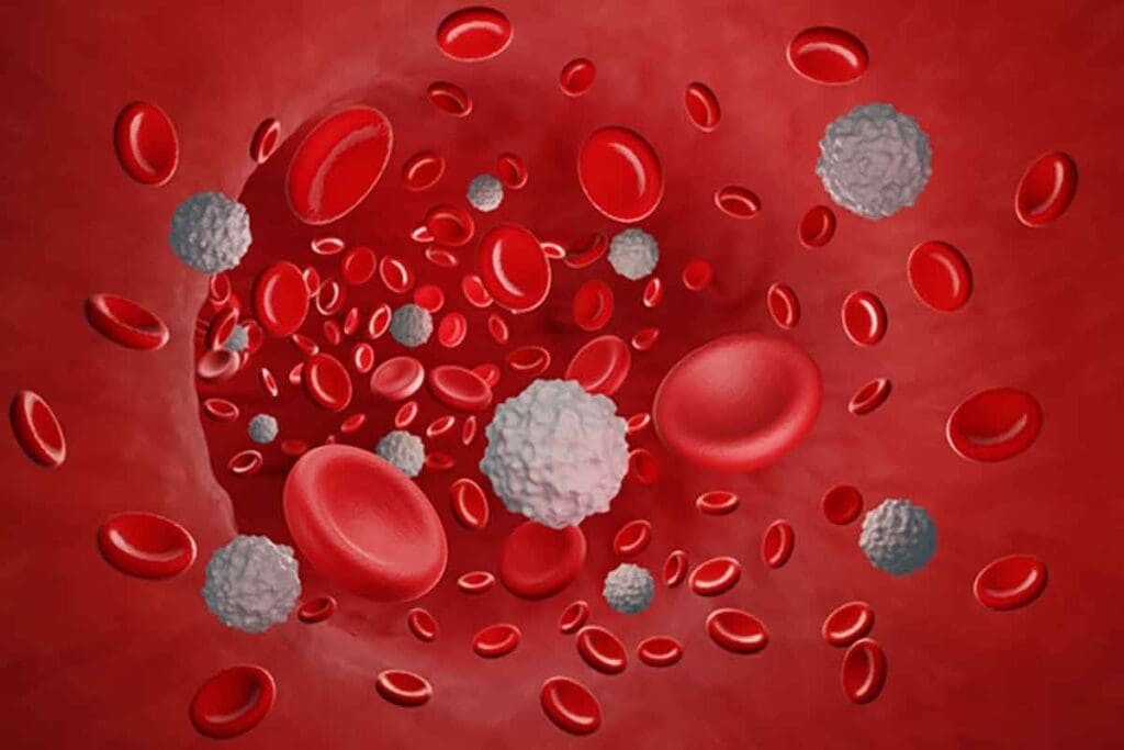 White Blood Cells and Cancer: 7 Key Facts About WBC Count Changes