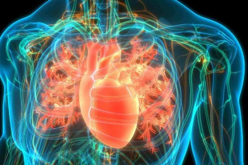 SPECT Heart: The Ultimate Guide to This Amazing Test