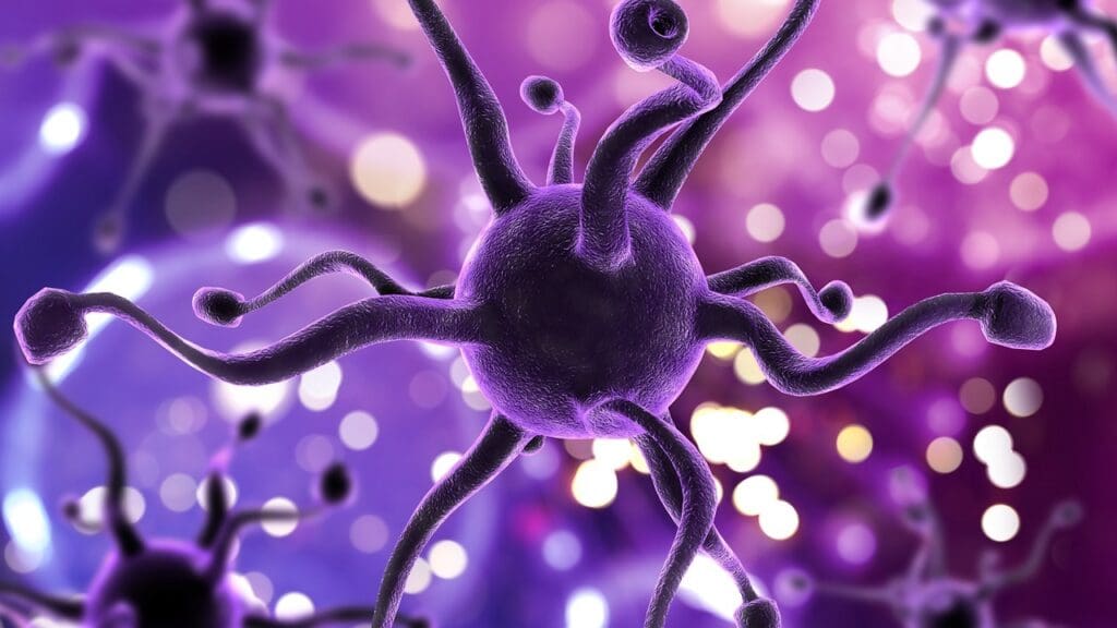 Top B Cell Lymphoma Treatments