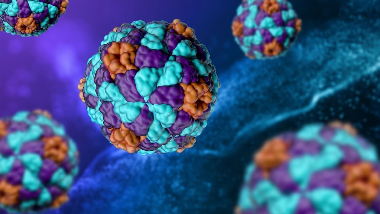 Diffuse B Cell Lymphoma Treatment: 8 Key Protocols and What to Expect 1 Diffuse B Cell Lymphoma Treatment: 8 Key Protocols and What to Expect