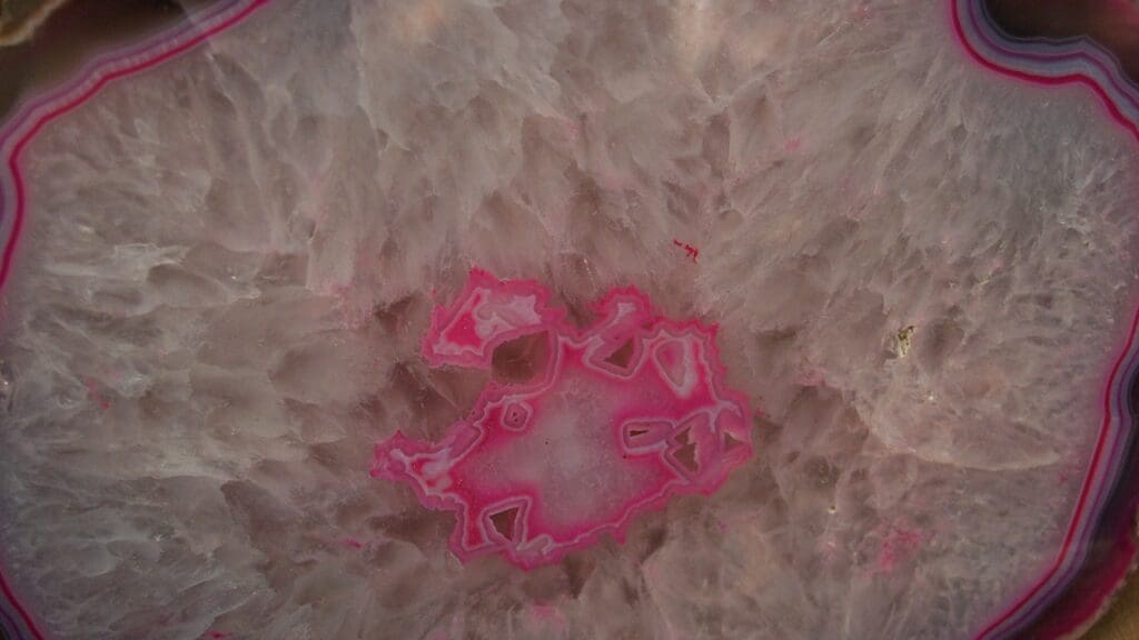 skin cancer transmission