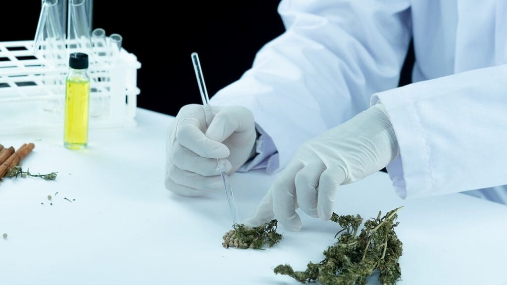 Science Behind Cannabis Science Behind Cannabis