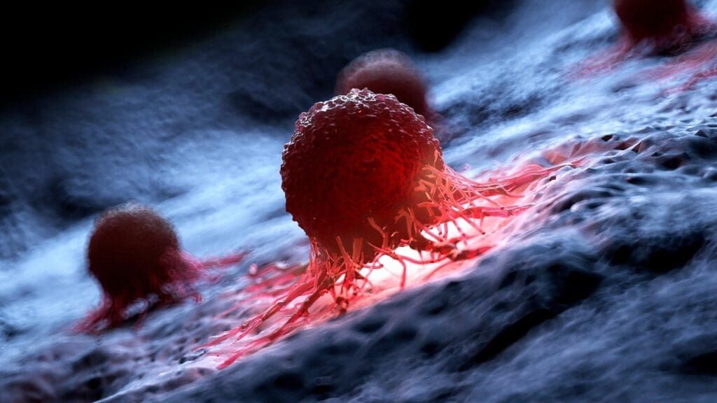 The Evolution of Cancer Immunotherapy