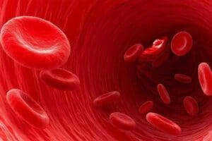 What Is the Thrombus Meaning? Key Facts About Thrombi and Blood Clots
