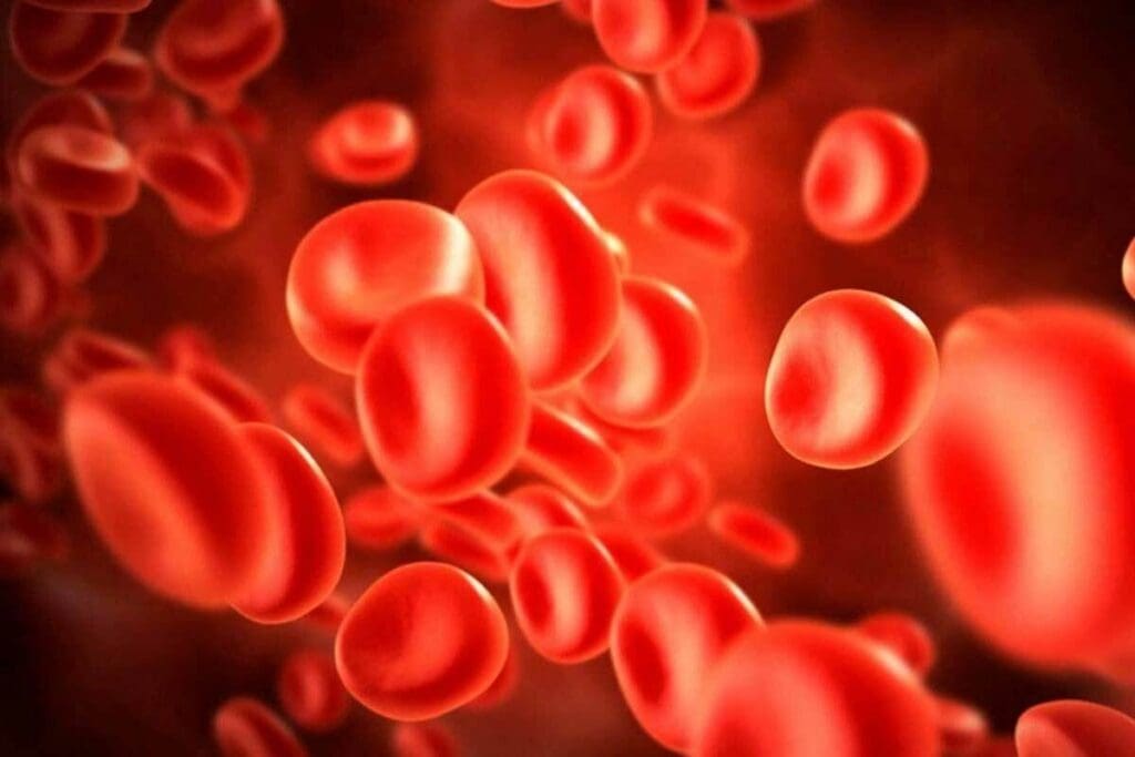 AB Blood Type: 10 Key Facts About Rarity, Compatibility, and Universal Recipient Status 3 ab blood type
