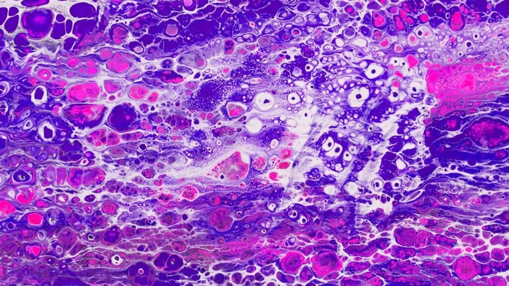 image 2590 LIV Hospital