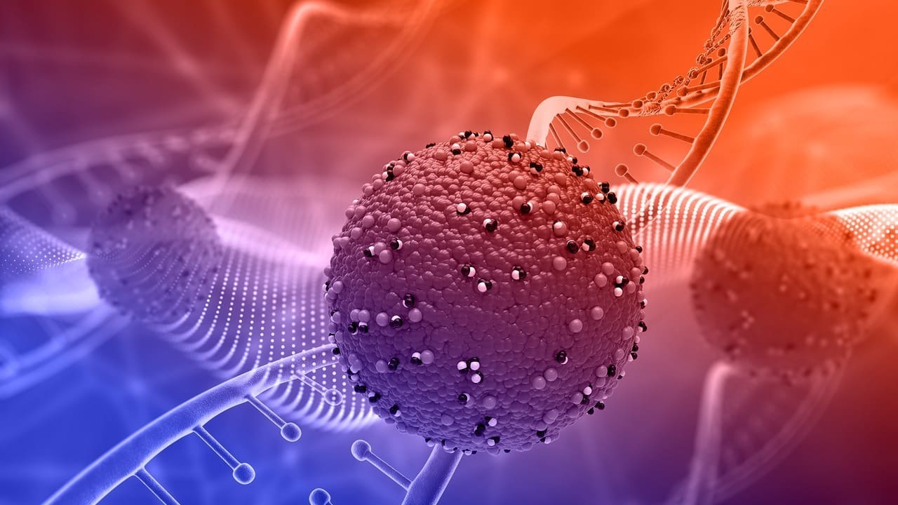 8 Common Types of Cancer B Cell Lymphoma and Their Key Features