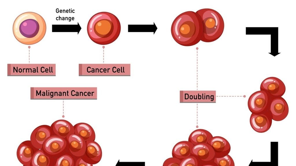 image 2551 LIV Hospital