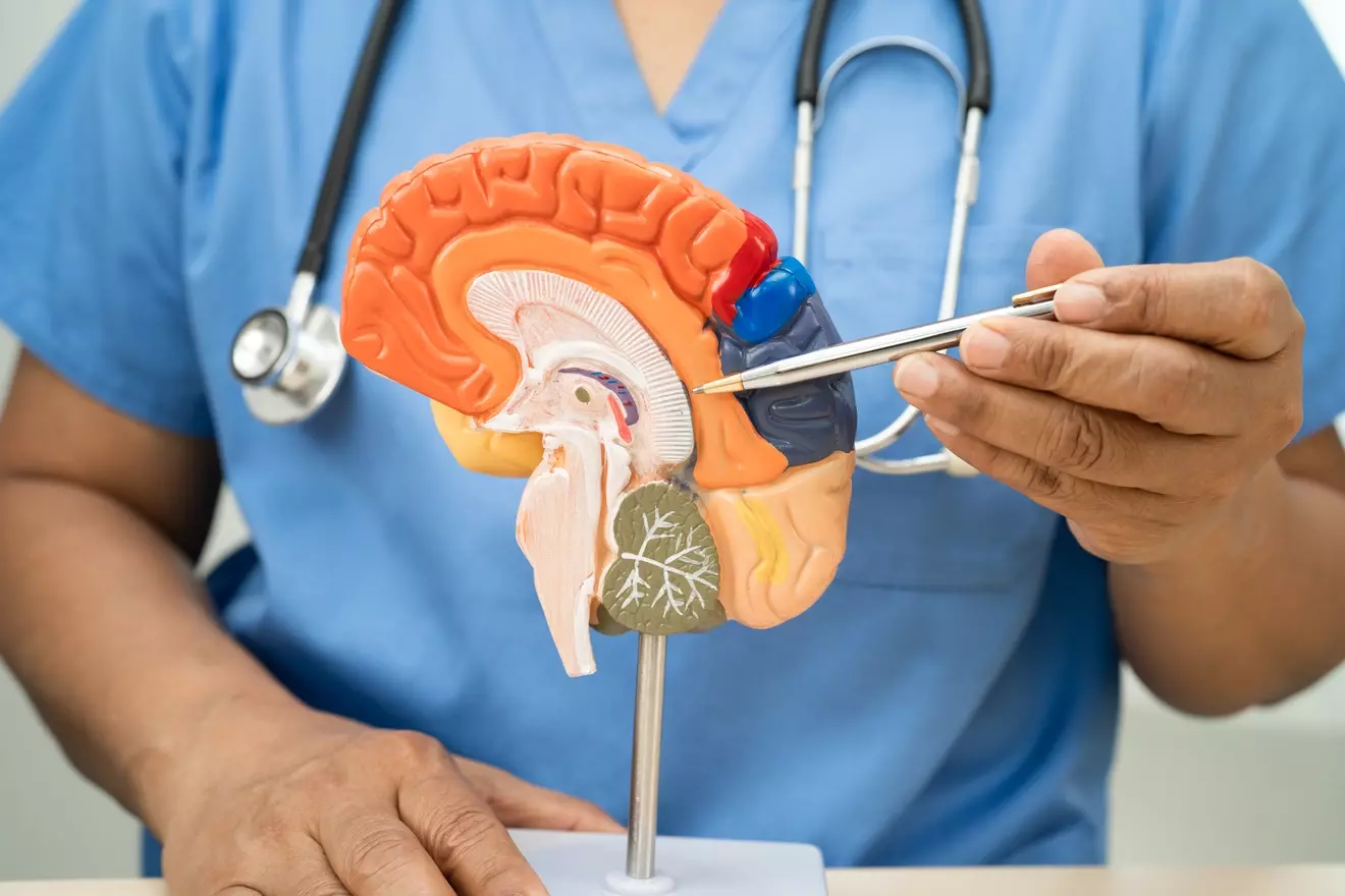 10 Key Facts About CNS Neoplasms and Tumor Treatment Options You Should Know