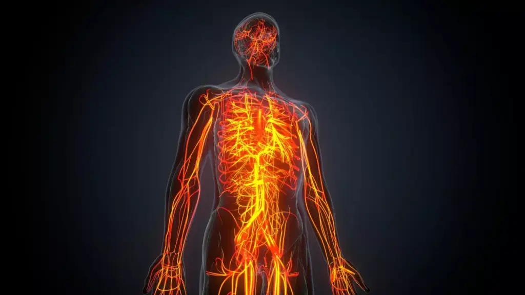 A human body in profile, the skin translucent and pale, revealing the underlying structures - muscles, nerves, and blood vessels. In the foreground, a glowing, ethereal aura radiates from the body, casting an otherworldly glow. The background is a hazy, dreamlike landscape, with muted colors and a sense of melancholy. Soft, diffused lighting illuminates the scene, creating a pensive, introspective atmosphere. The image conveys the profound physical and emotional toll of chemotherapy, the body's fragility and the patient's journey through this challenging treatment.