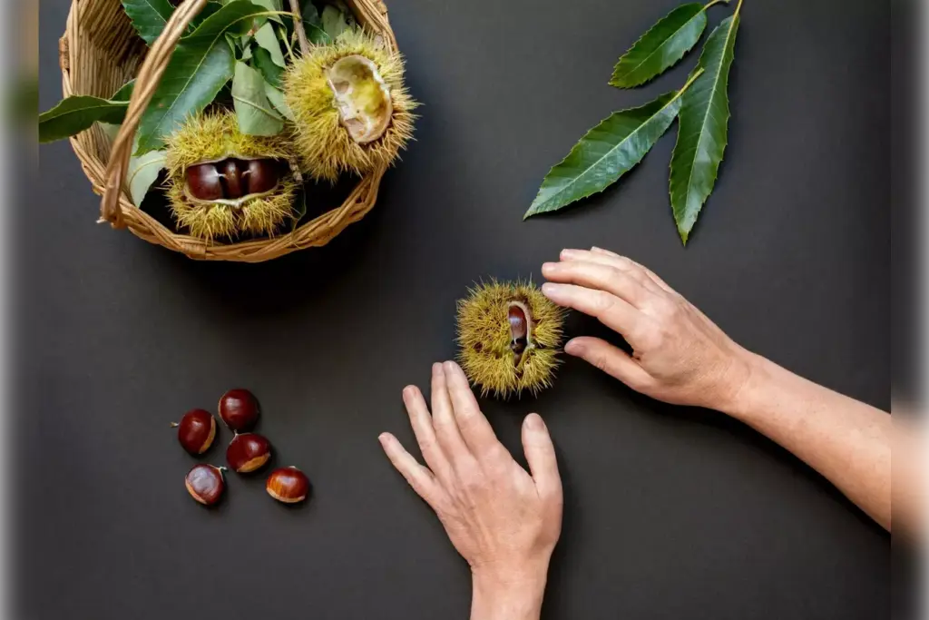 castor oil cancer risk