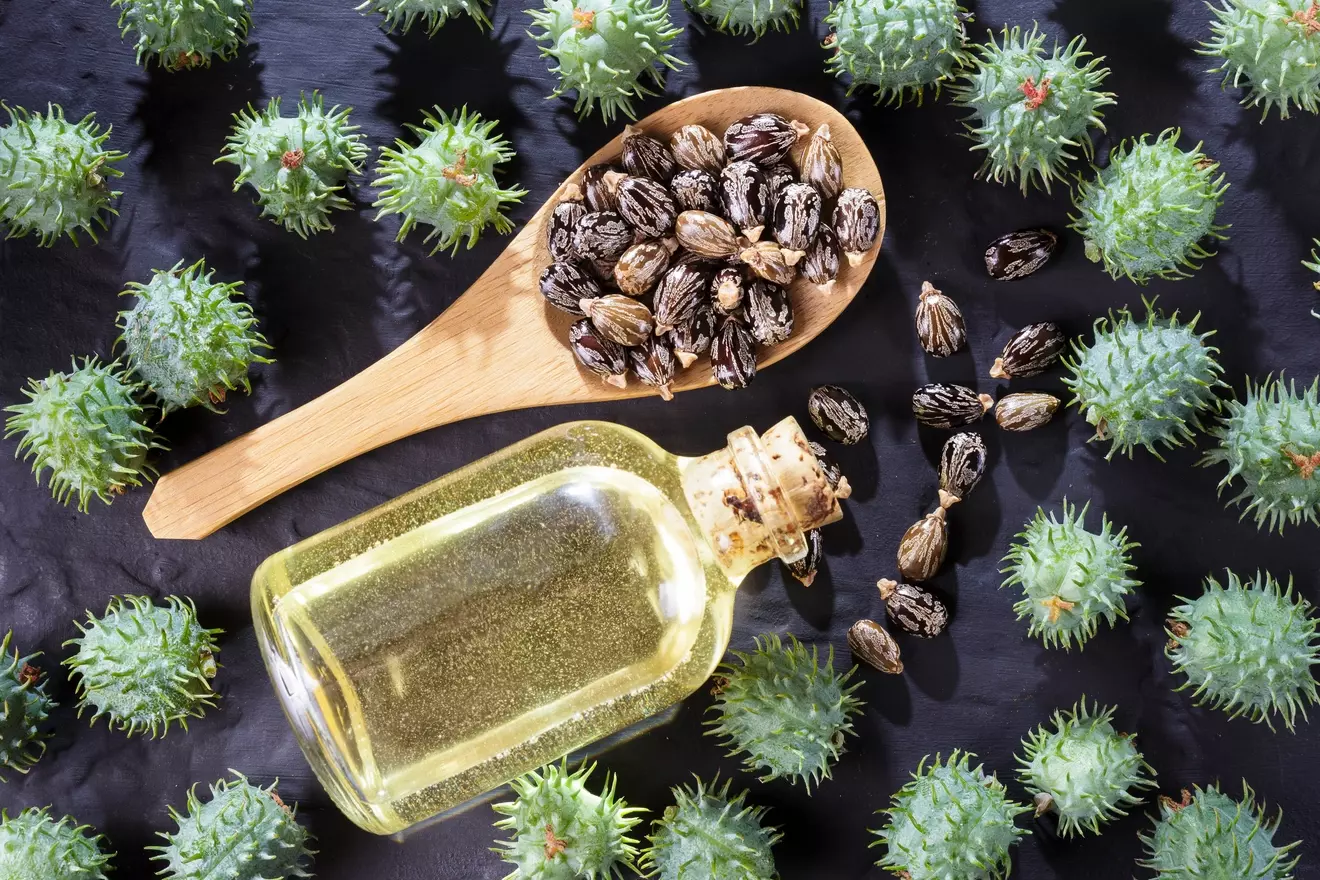 Can Castor Oil Treat Cancer Tumors or Breast Lumps? Risks, Evidence, and Myths Explained