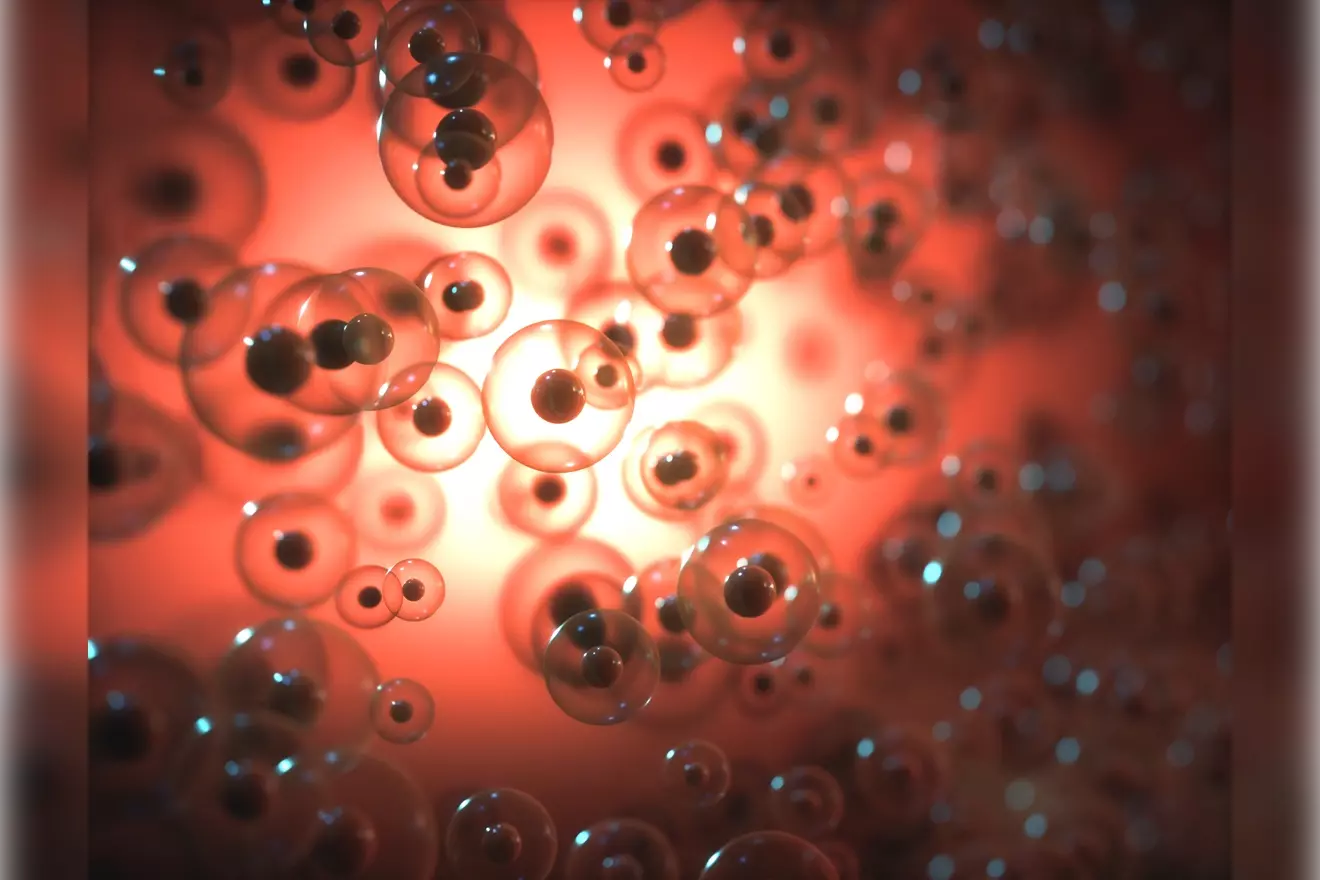 7 Essential Facts About CAR T Lymphocytes and Chimeric Antigen Receptor T Cells