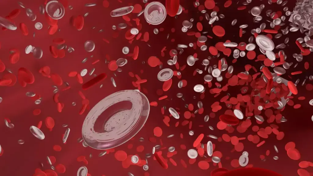 A detailed medical illustration showcasing the effects of chemotherapy on blood cell production. In the foreground, a close-up of a human bone marrow with diminished white blood cell production, captured with a macro lens and dramatic lighting. In the middle ground, a transparent overlay depicting the chemotherapeutic agent disrupting the normal hematopoietic process. The background fades into an abstract representation of the circulatory system, highlighting the systemic impact of low white blood cell counts. The overall scene conveys the technical complexity and the delicate balance disrupted by cancer treatment, with a somber, educational tone.