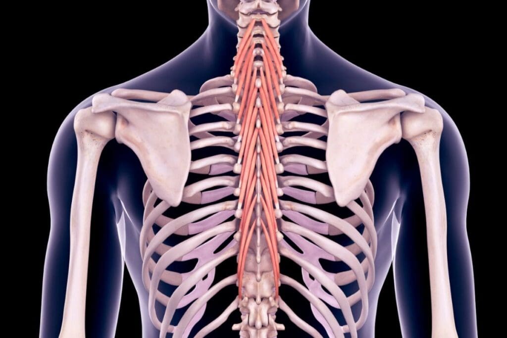 Thoracic Surgery: Amazing Look Inside the Chest 2 Thoracic Surgery: Amazing Look Inside the Chest