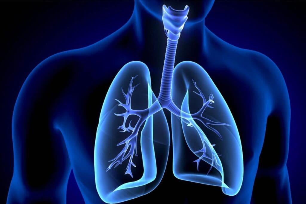 Apices of the Lungs: Wheezing With Clear Lungs Explained 1 Apices of the Lungs: Wheezing With Clear Lungs Explained
