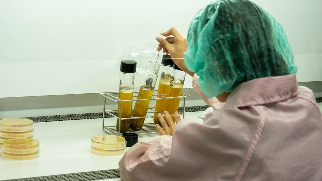 alkylating agents in cancer treatment