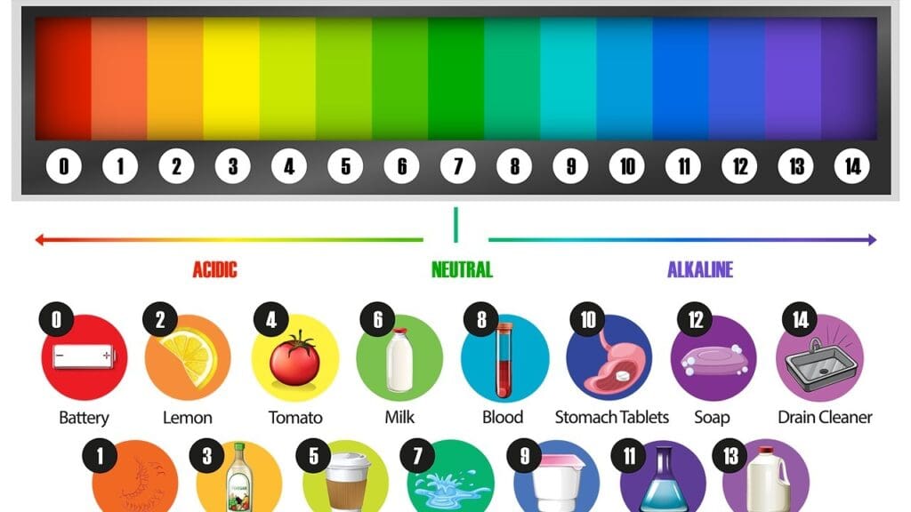 ph balance alkaline ph balance alkaline