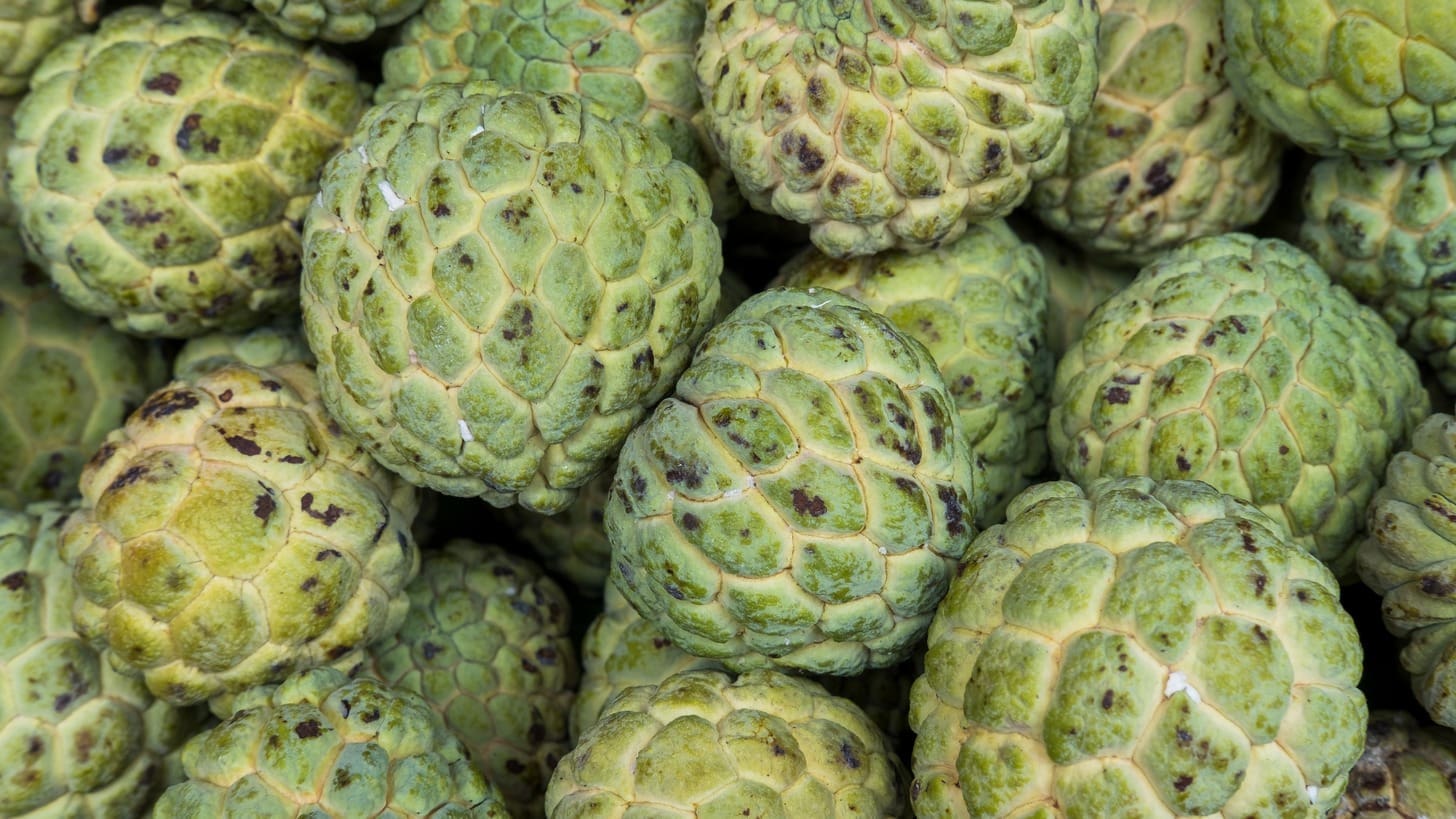 7 Ways Soursop (Guanabana) May Help Fight Cancer: Benefits & Research