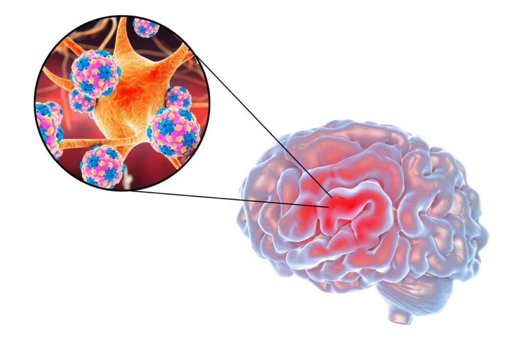 cross-section illustration of the blood-brain barrier