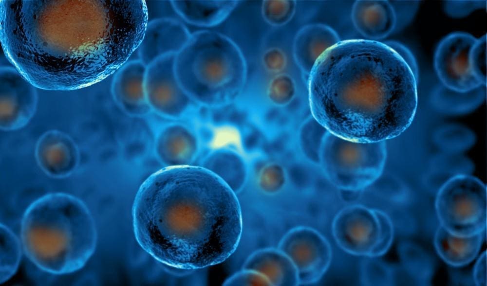What Is Stem Cell Therapy? Benefits & Uses 3 What Is Stem Cell Therapy? Benefits & Uses