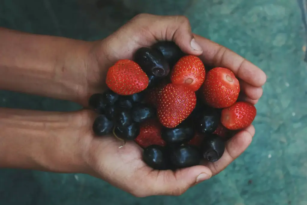 Powerful Antioxidant Defenders Powerful Antioxidant Defenders