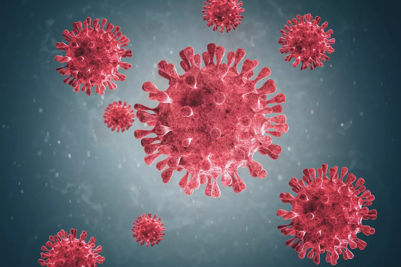 what does the t cell do LIV Hospital