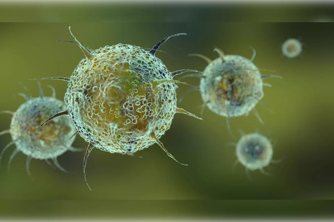 where are t lymphocytes made LIV Hospital