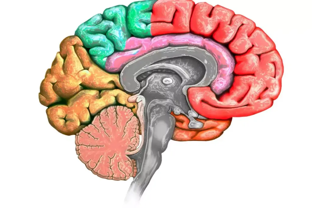 A detailed cross-section of a human brain, with a prominent focus on a brain tumor in the frontal lobe. The tumor is depicted in shades of red and pink, surrounded by a halo of distorted brain tissue. The background showcases various treatment options, such as surgical tools, radiation beams, and chemotherapy drugs, all rendered in a highly technical, almost schematic style to convey the complexity of modern brain tumor treatment. Subdued lighting casts dramatic shadows, emphasizing the gravity of the situation and the importance of understanding the impact of brain tumors. The overall composition is balanced and visually striking, guiding the viewer's attention to the key elements.