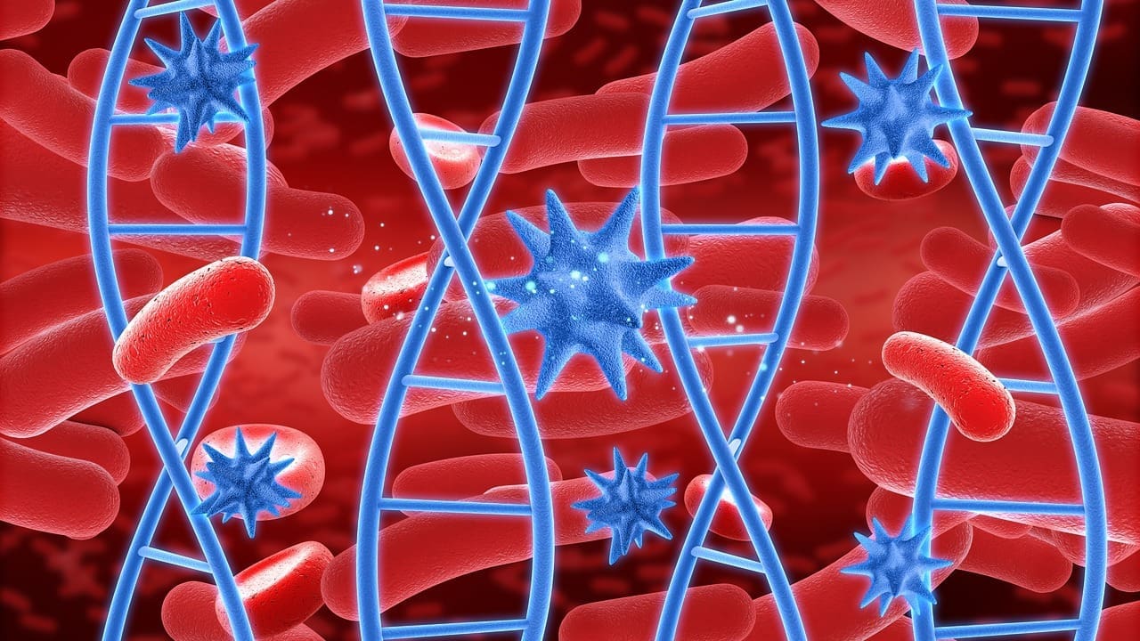 Hematopoietic Lineage: 7 Key Stages and Factors in Blood Cell Development
