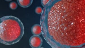 7 Essential Facts About Hematopoietic Stem Cells and Their Lineage