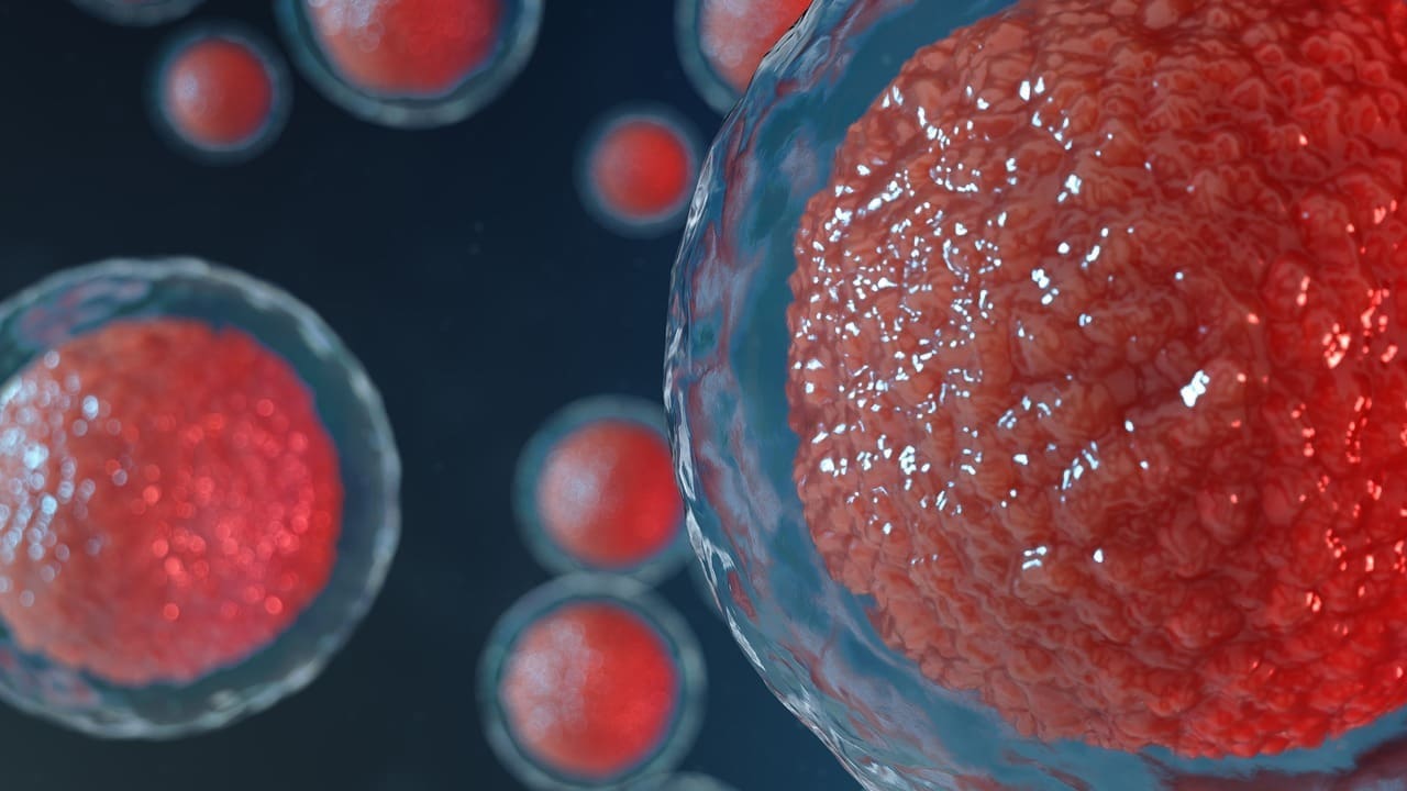 7 Essential Facts About Hematopoietic Stem Cells and Their Lineage