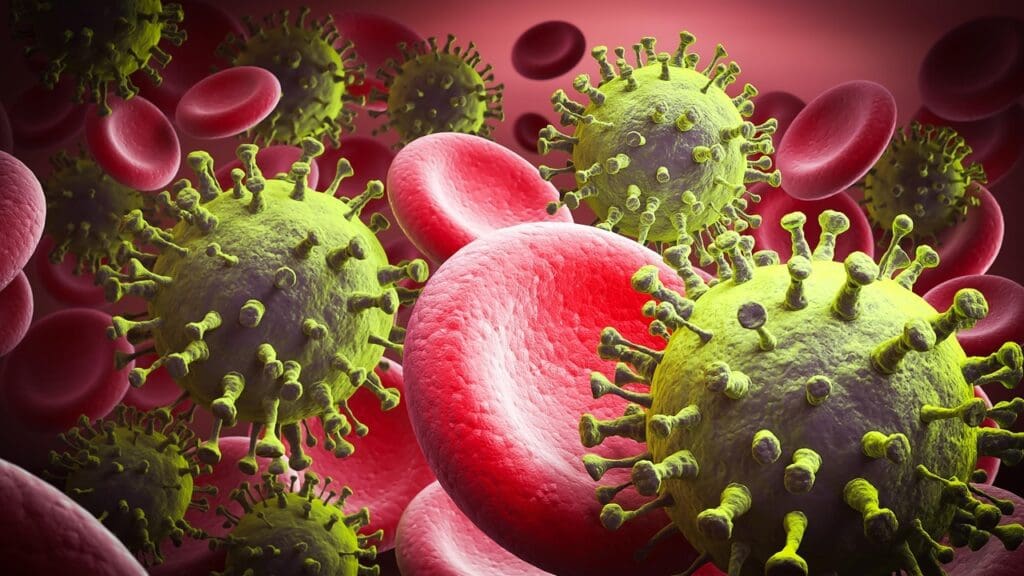 Foundation of Blood Formation