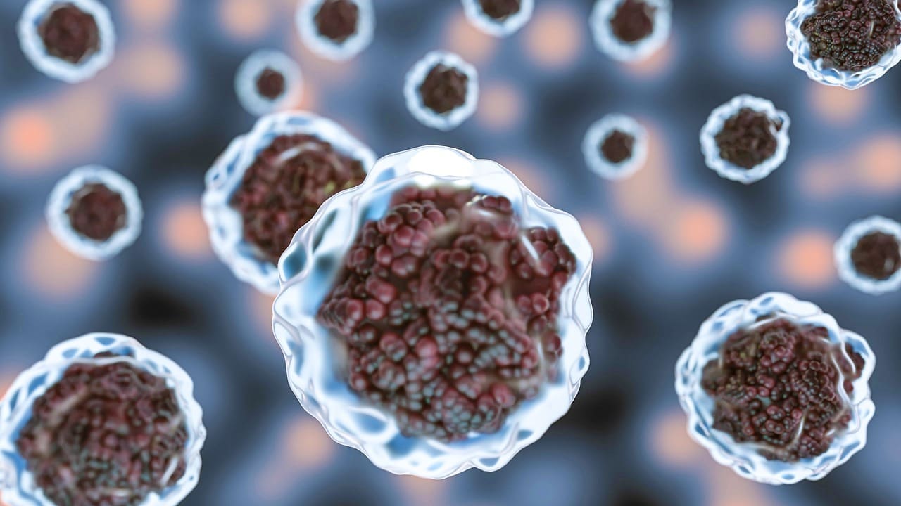 What Are Hematopoietic Stem Cells and Where Are They Found in the Body?