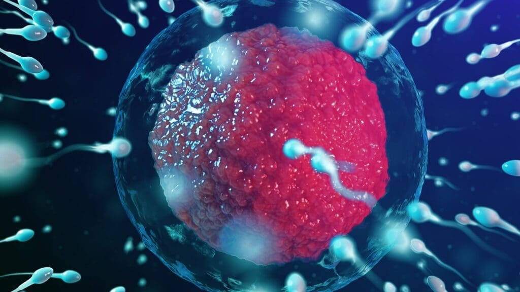 The Science Behind Blood Cell Production The Science Behind Blood Cell Production