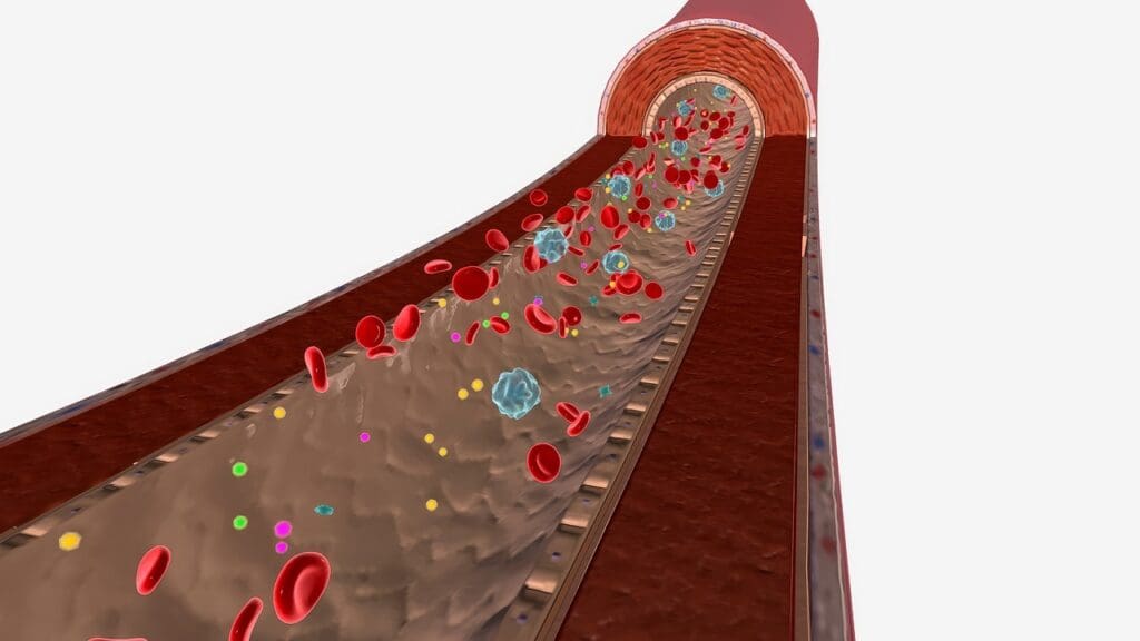 blood cell formation Overview blood cell formation Overview