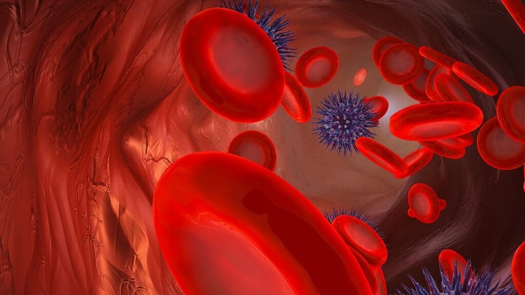 The Science Behind Blood Formation The Science Behind Blood Formation