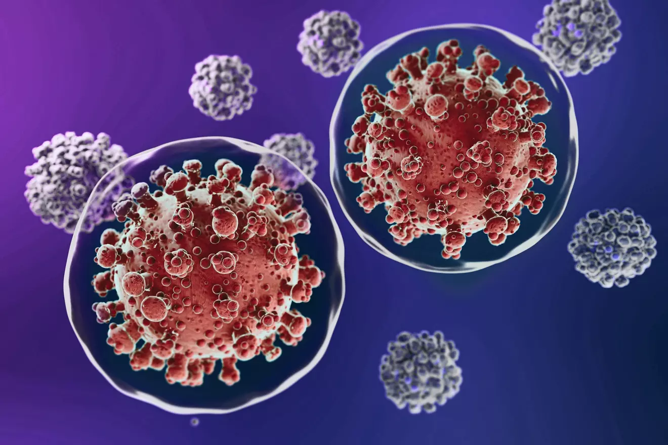 b cells vs t cells LIV Hospital