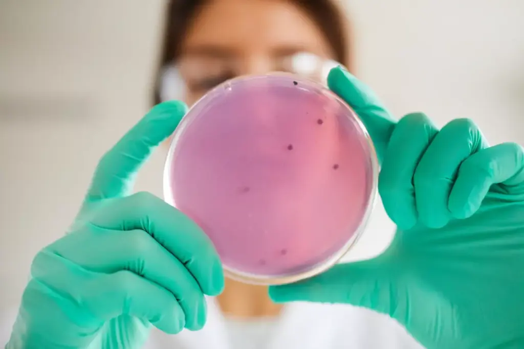 t cells definition t cells definition