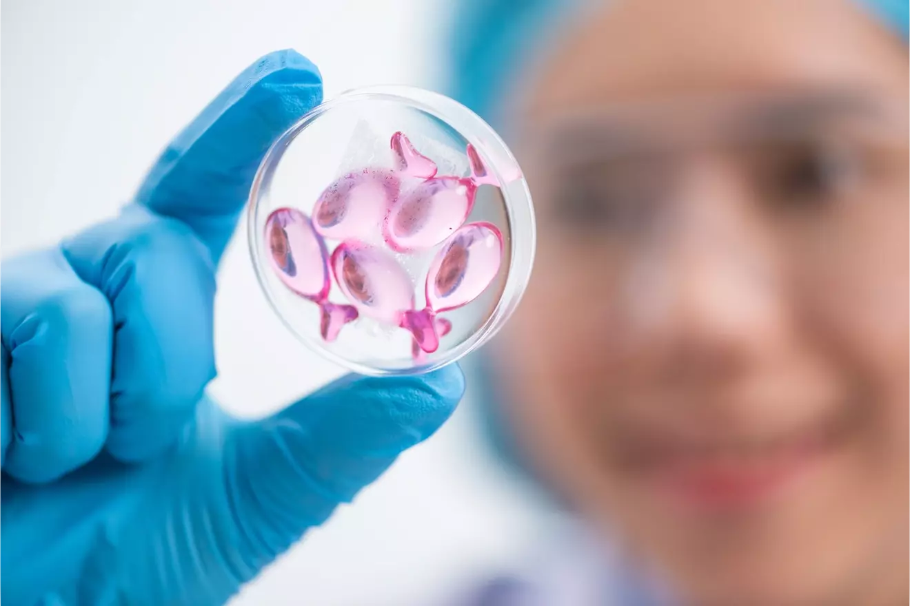 lymphocyte LIV Hospital