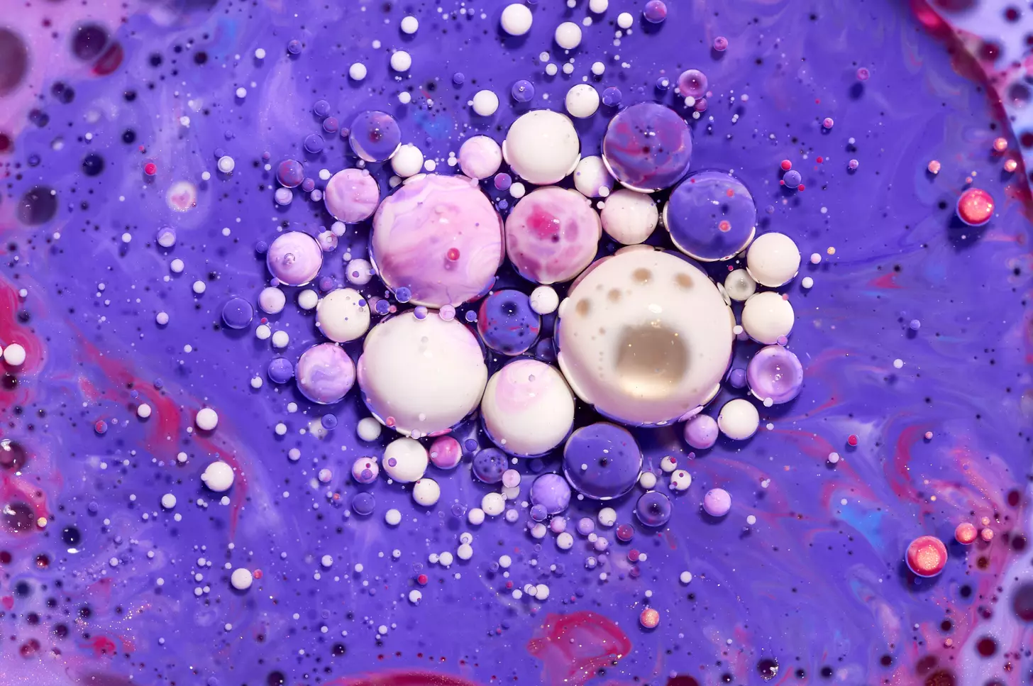 b cells LIV Hospital