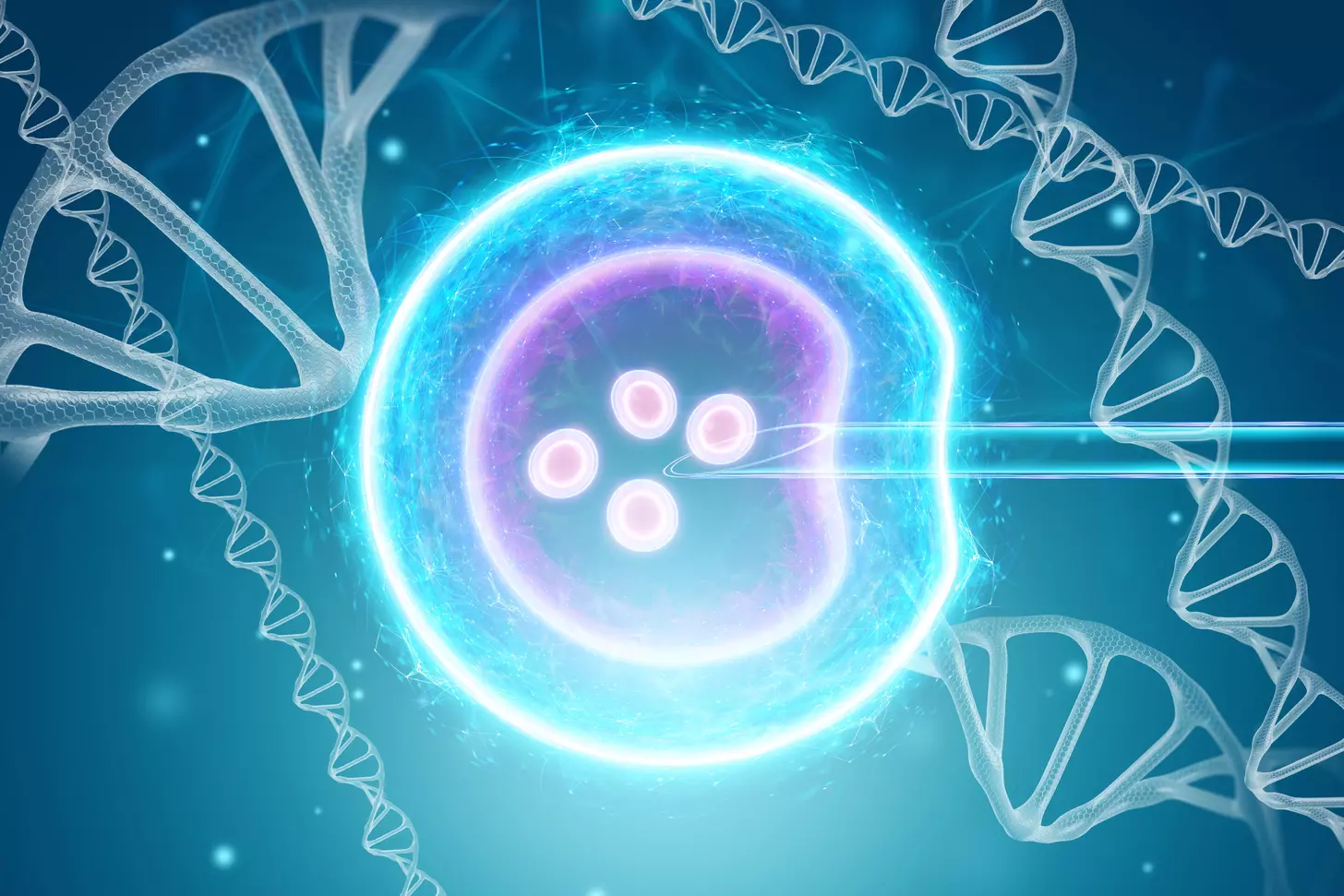 7 Key Insights into Stem Cells and Embryos: Synthetic Human Embryo Research Explained